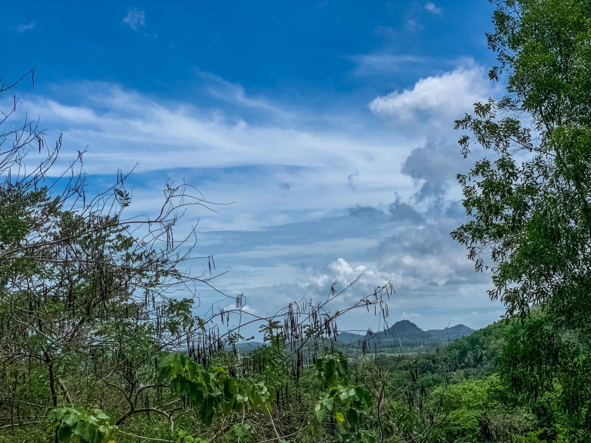 routes_hero-image-alt Cápiz