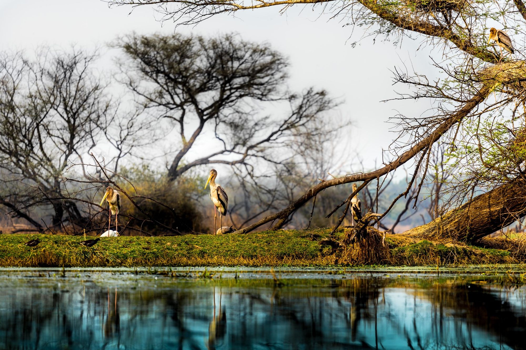 routes_hero-image-alt Bharatpur