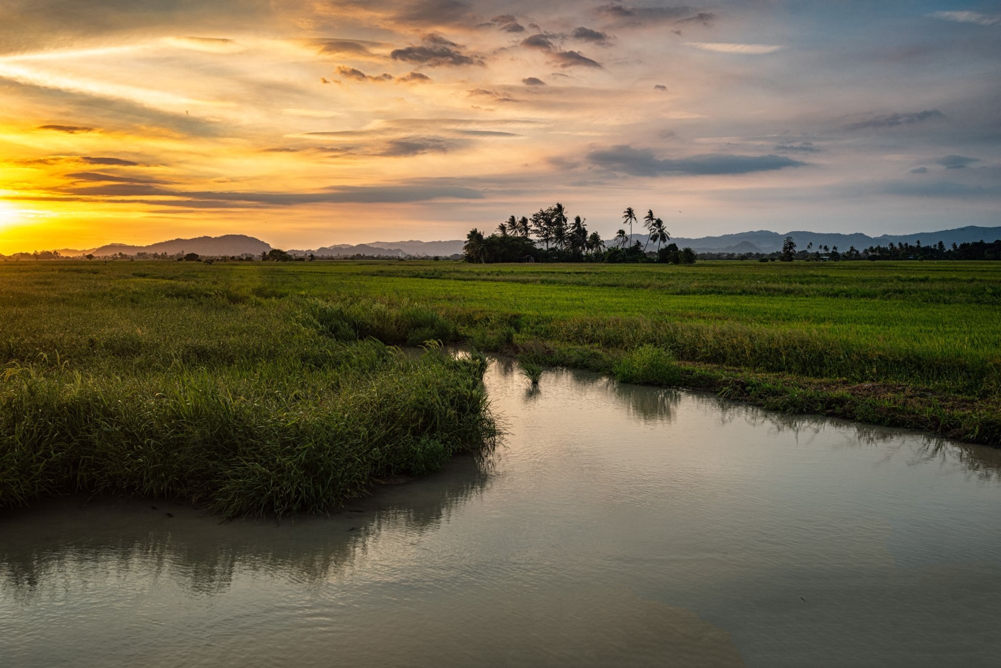 A captivating backdrop of central Bukit Kayu Hitam