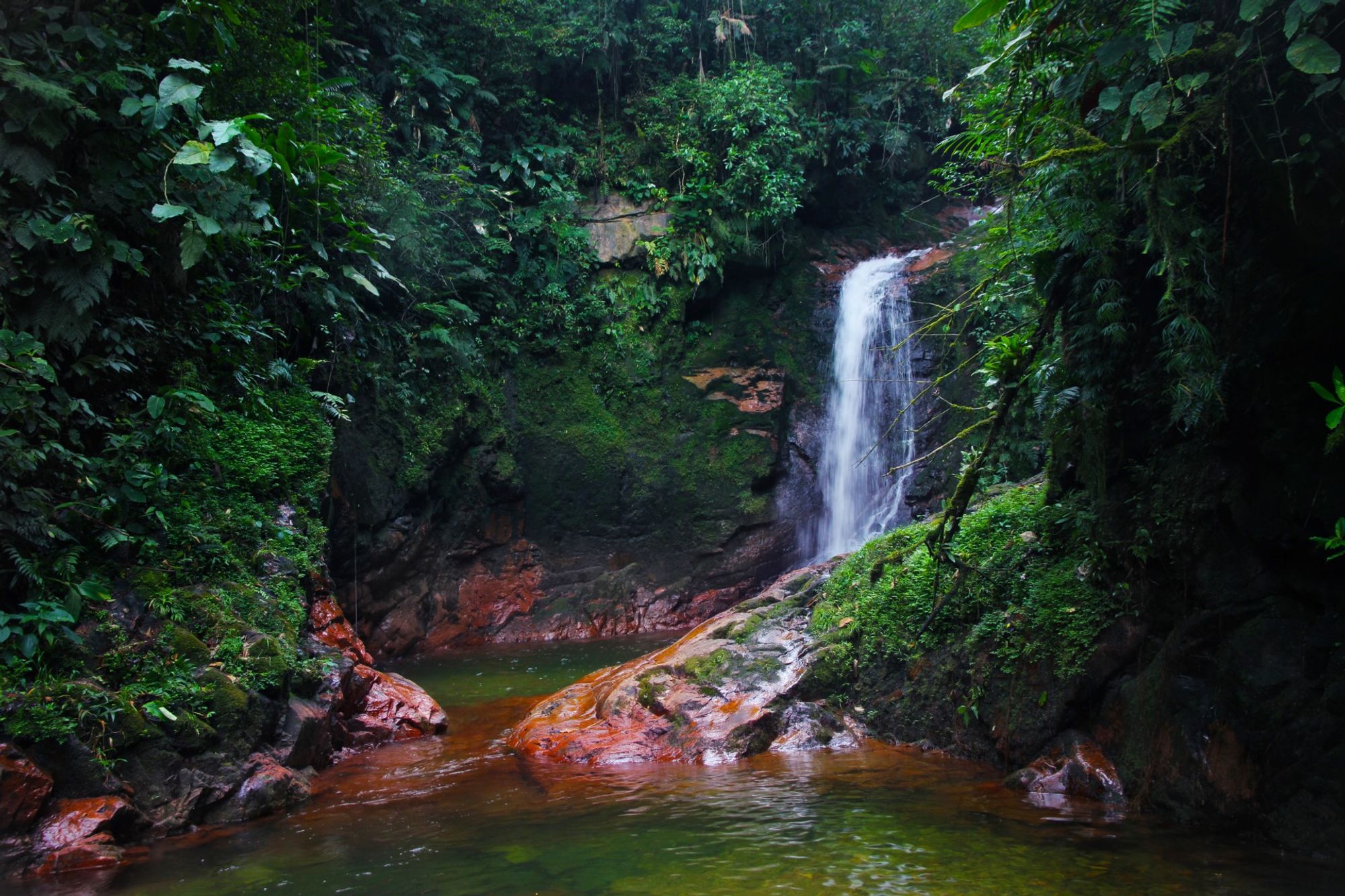 Terminal Itaum nhà ga trong khoảng Joinville, Brazil