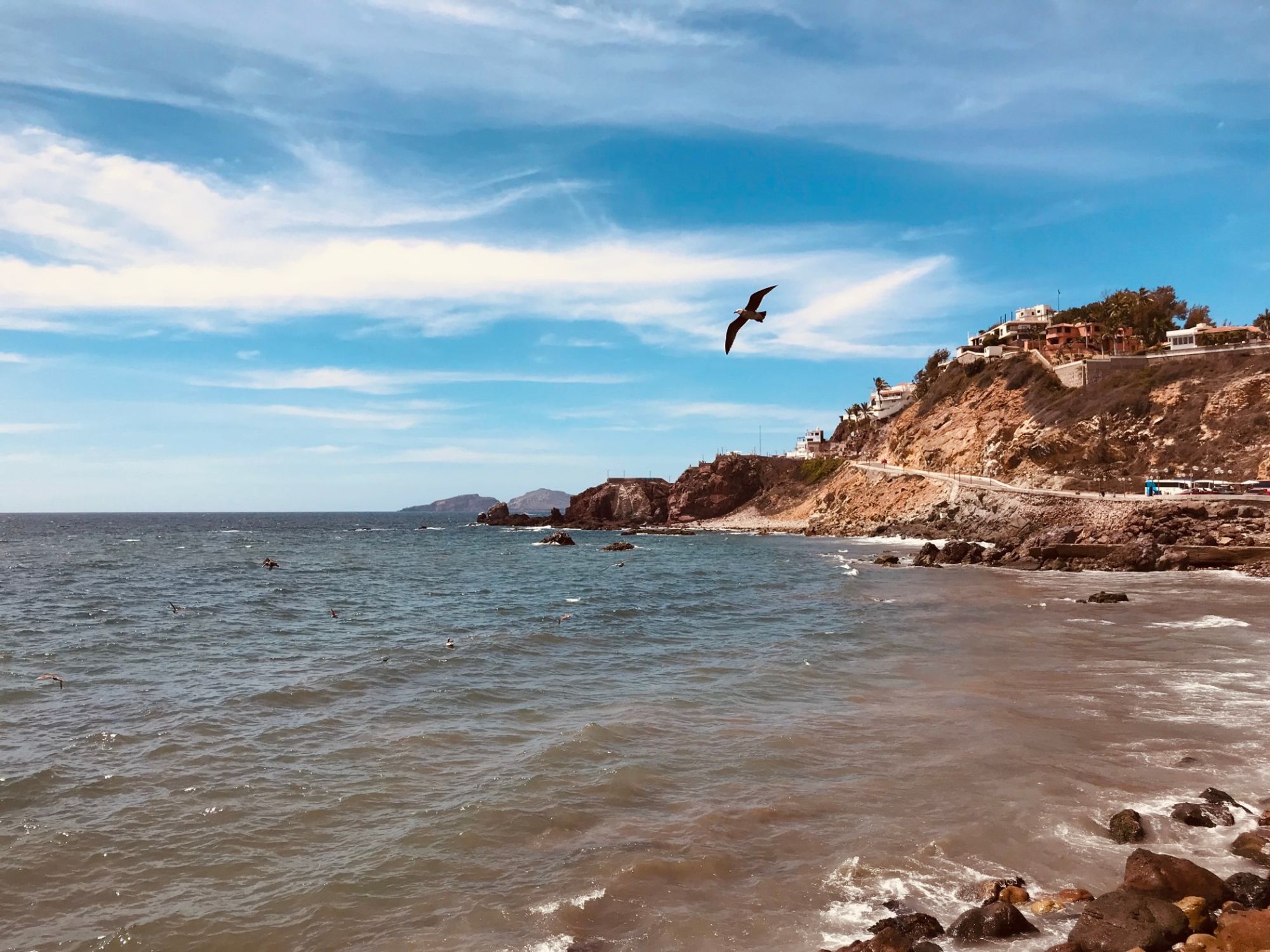 Lugar Visitado 이내의 역 Mazatlan, Mexico