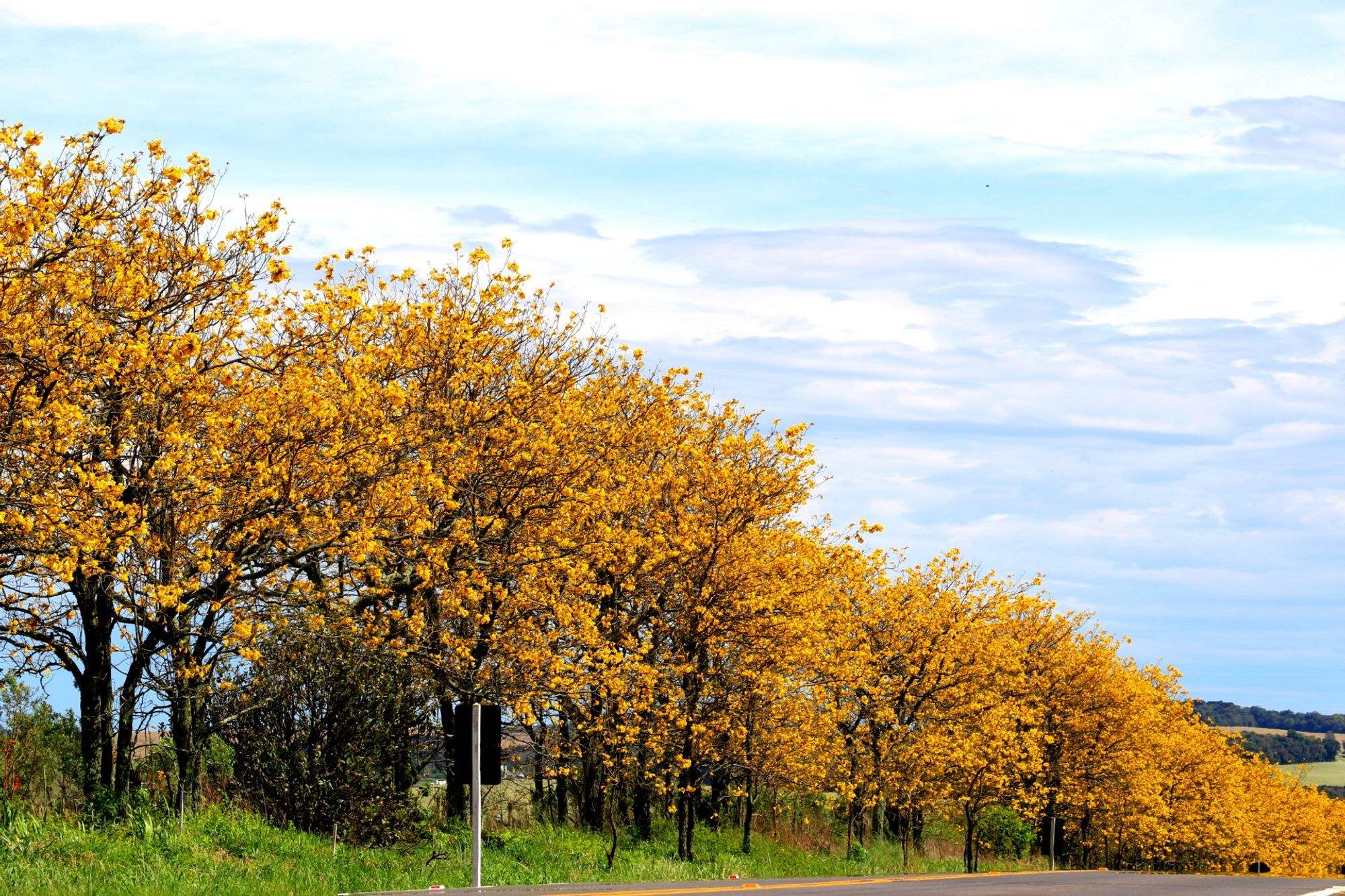 routes_hero-image-alt Passo Fundo