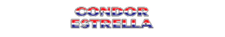 Condor Estrella logo