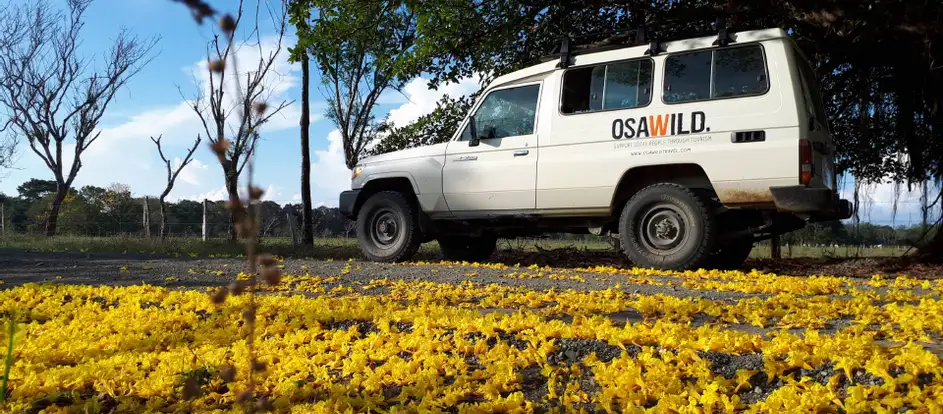 Osa Wild llevar a los pasajeros a su destino de viaje