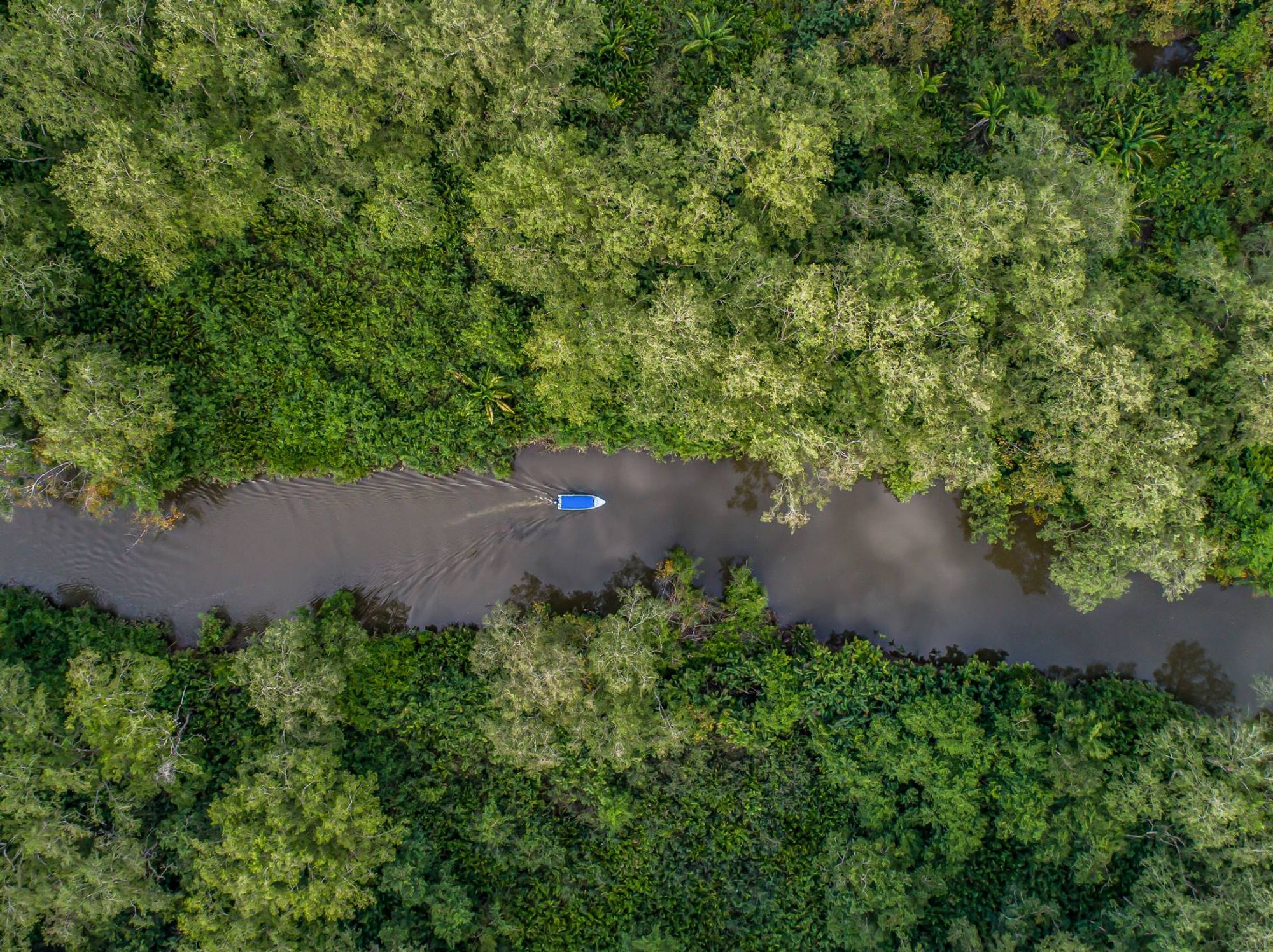 Sierpe Dock station within Sierpe, Costa Rica