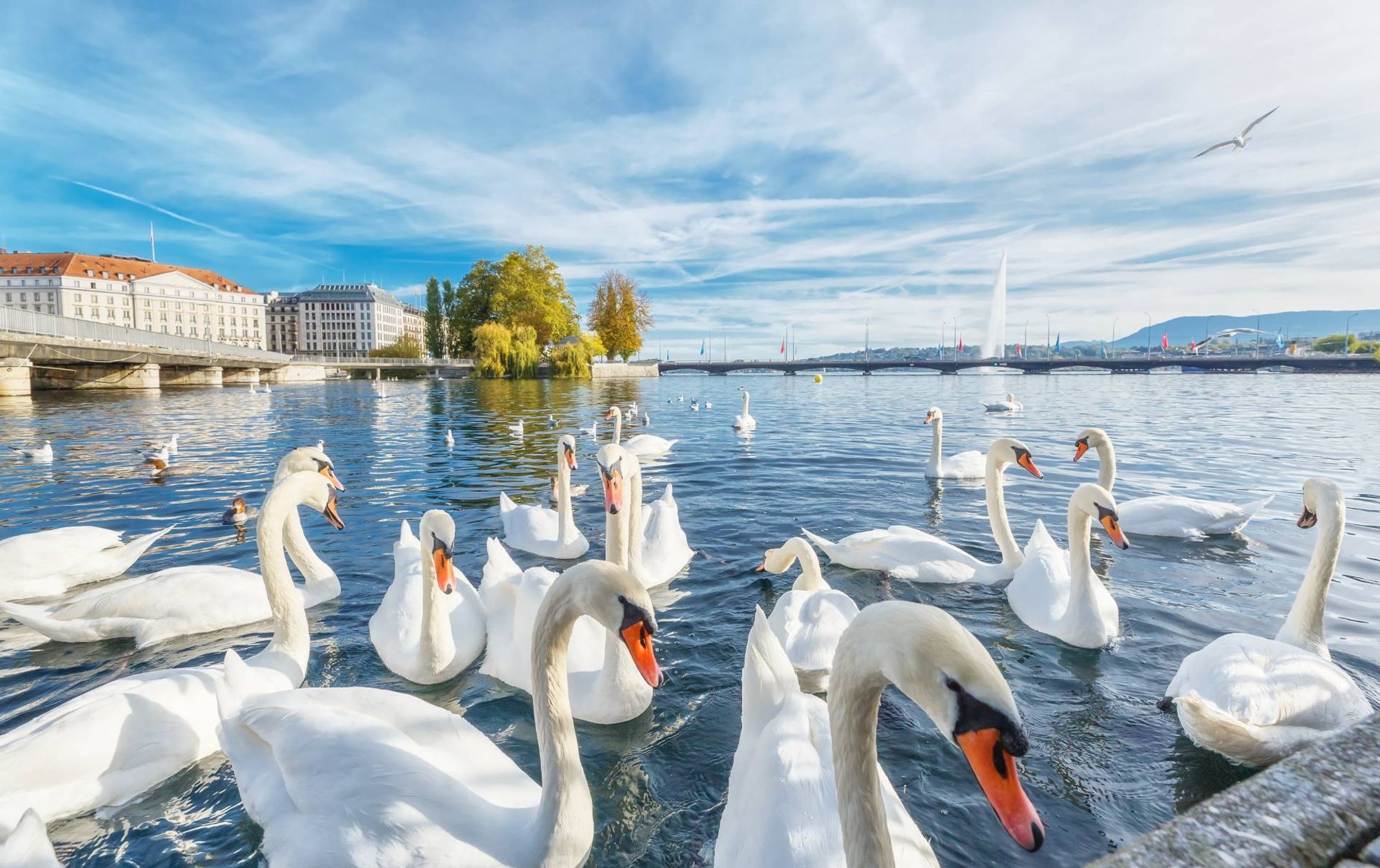 Geneva Airport (GVA) станция в пределах Geneva, Switzerland