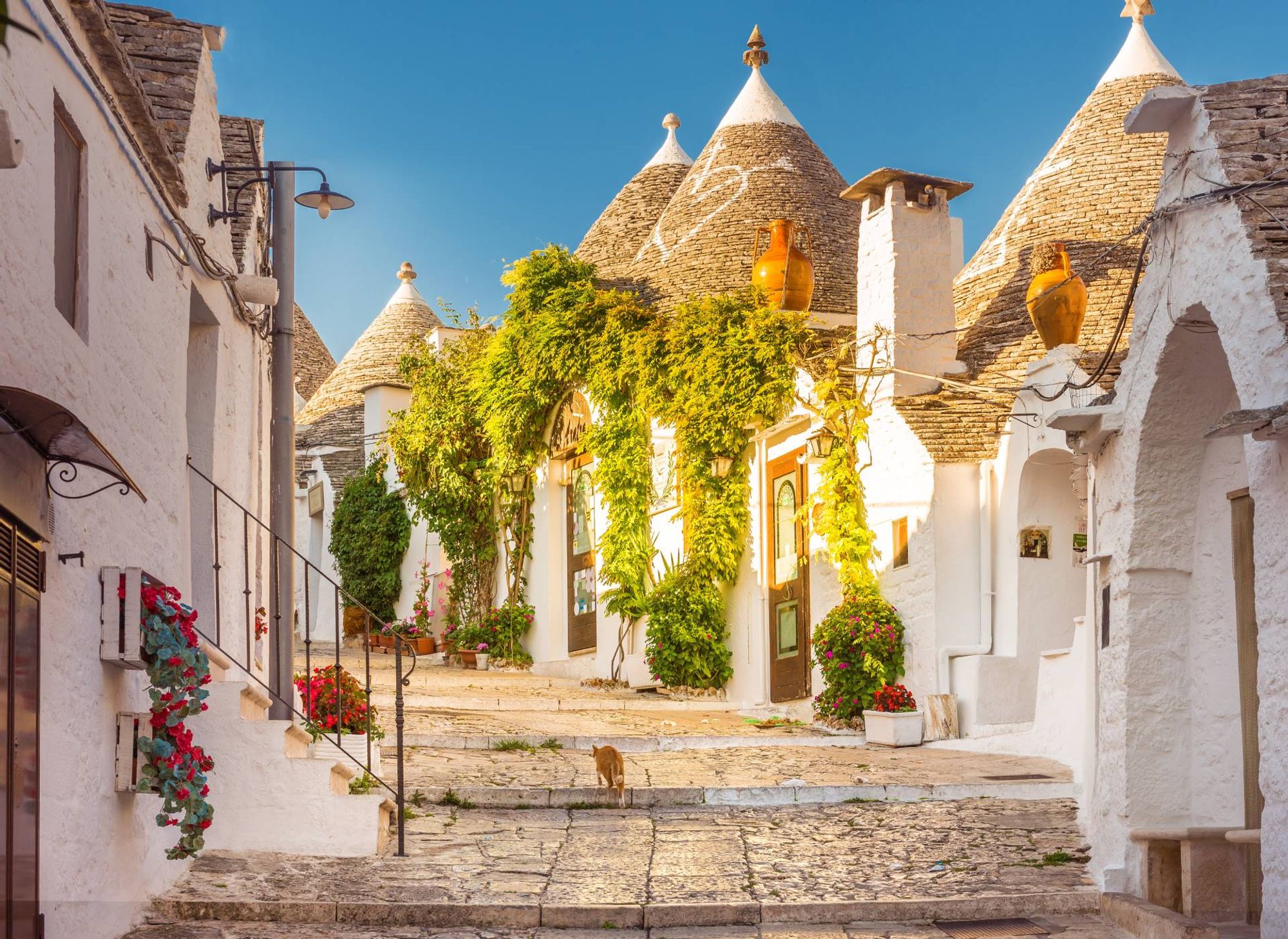 routes_hero-image-alt Alberobello