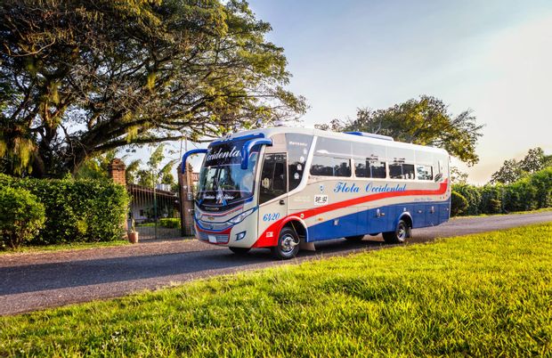Transports pour aller de Tado à Pereira
