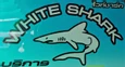 White Shark Speedboat logo