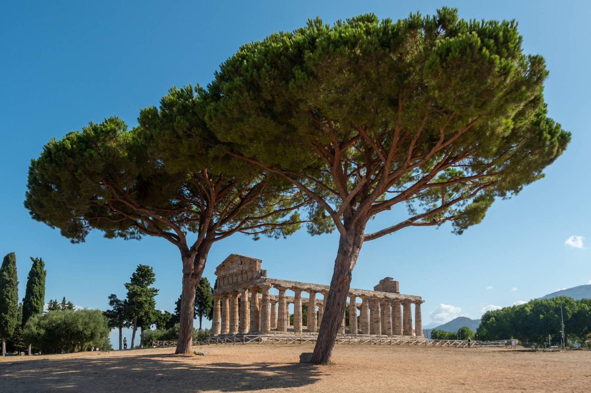 Một khung cảnh phía sau đầy lôi cuốn nhìn về khu trung tâm Paestum