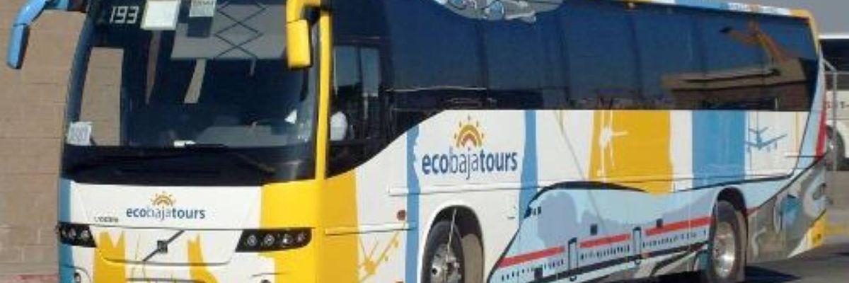 Eco Baja Tours bringing passengers to their travel destination