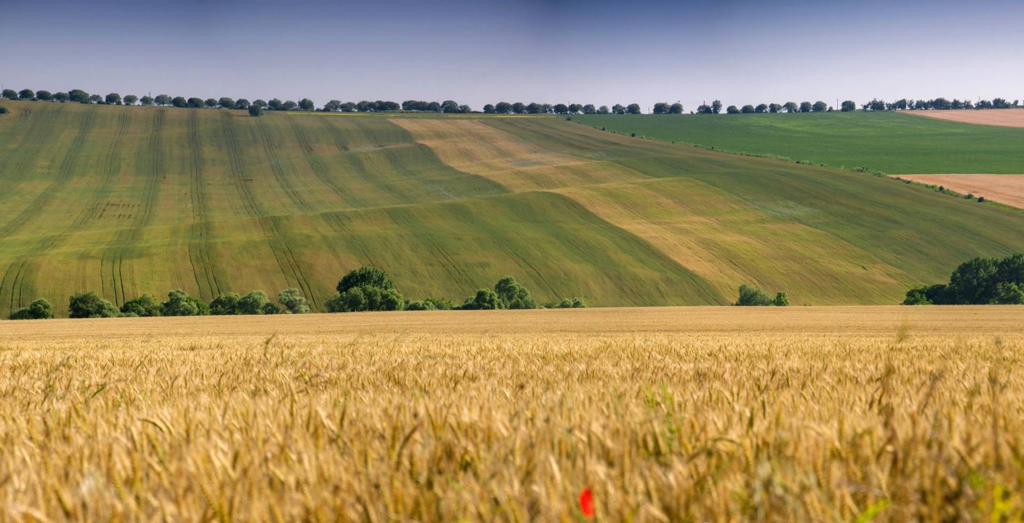 Um pano de fundo cativante do centro de Razgrad