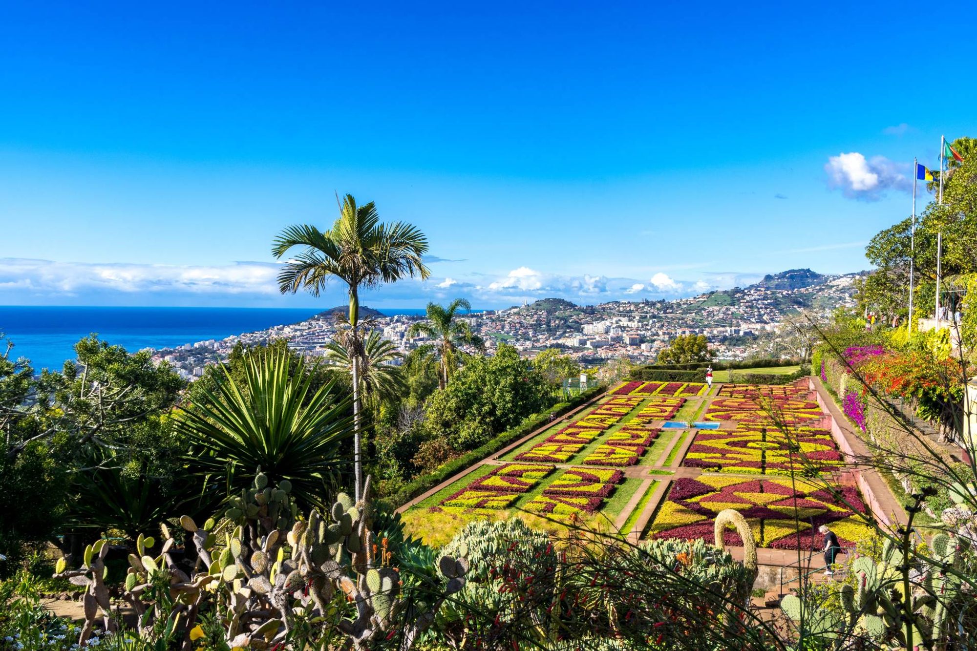 中心部の魅惑的な背景 Funchal, Madeira