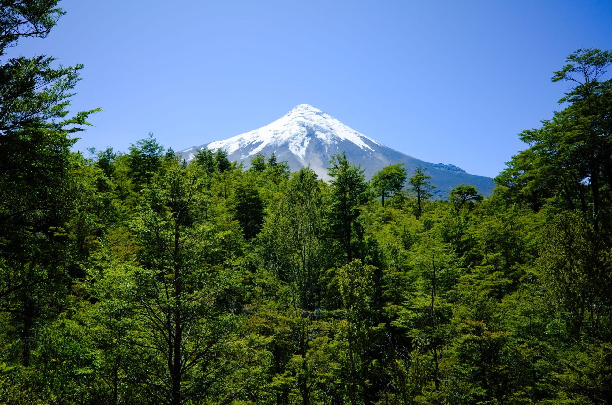 Osorno - Any hotel nhà ga trong khoảng Osorno, Chile