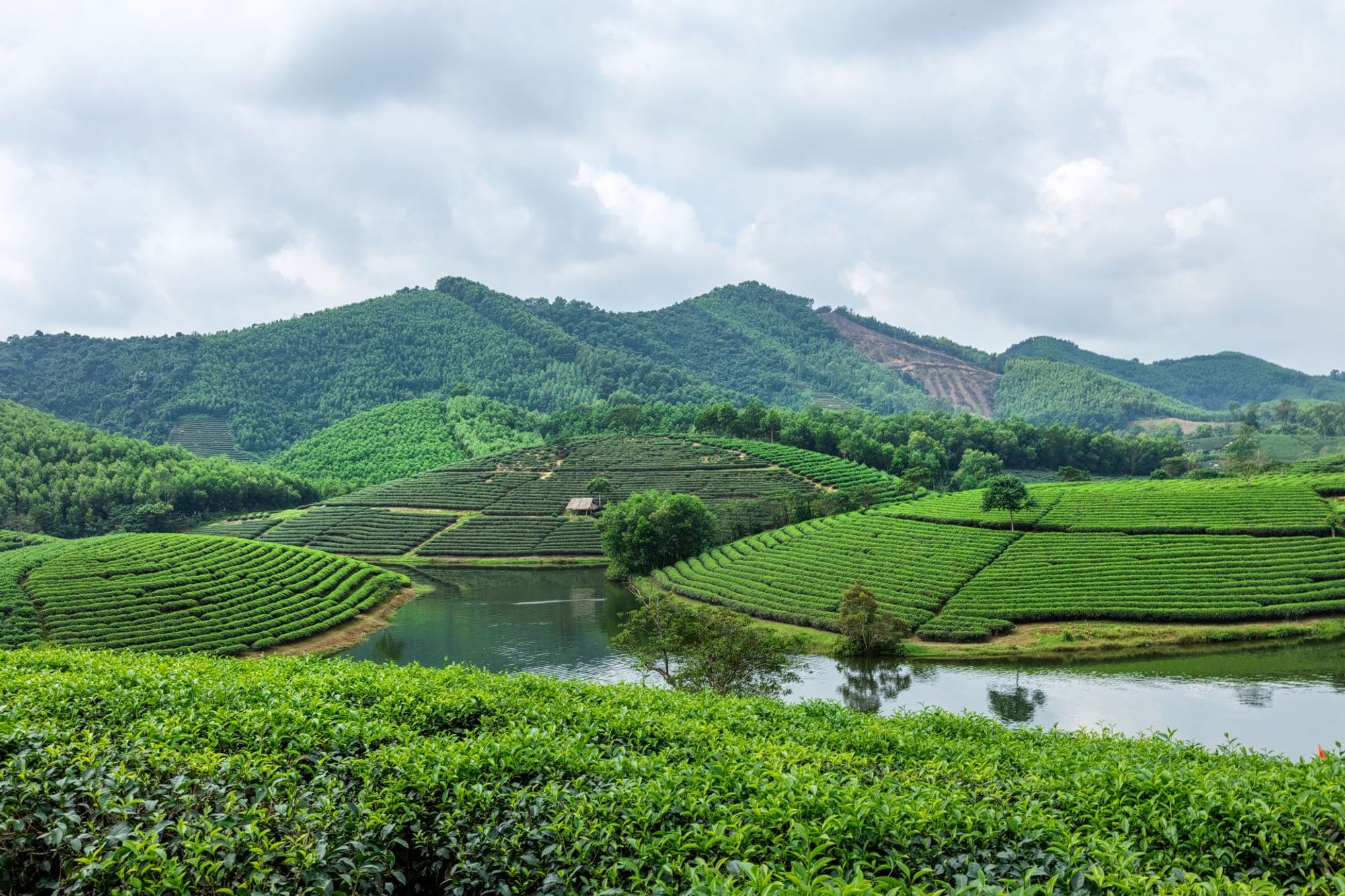 A captivating backdrop of central Nghe An