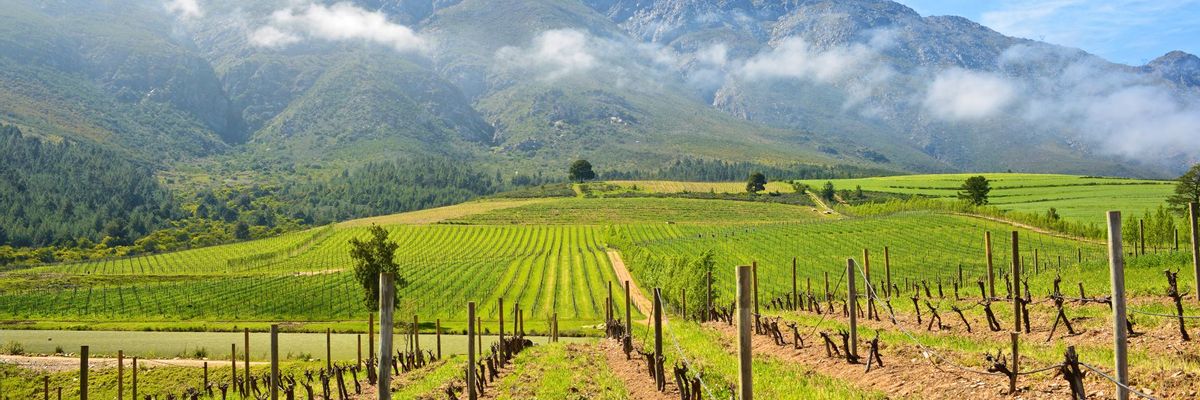 A captivating backdrop of central Tulbagh