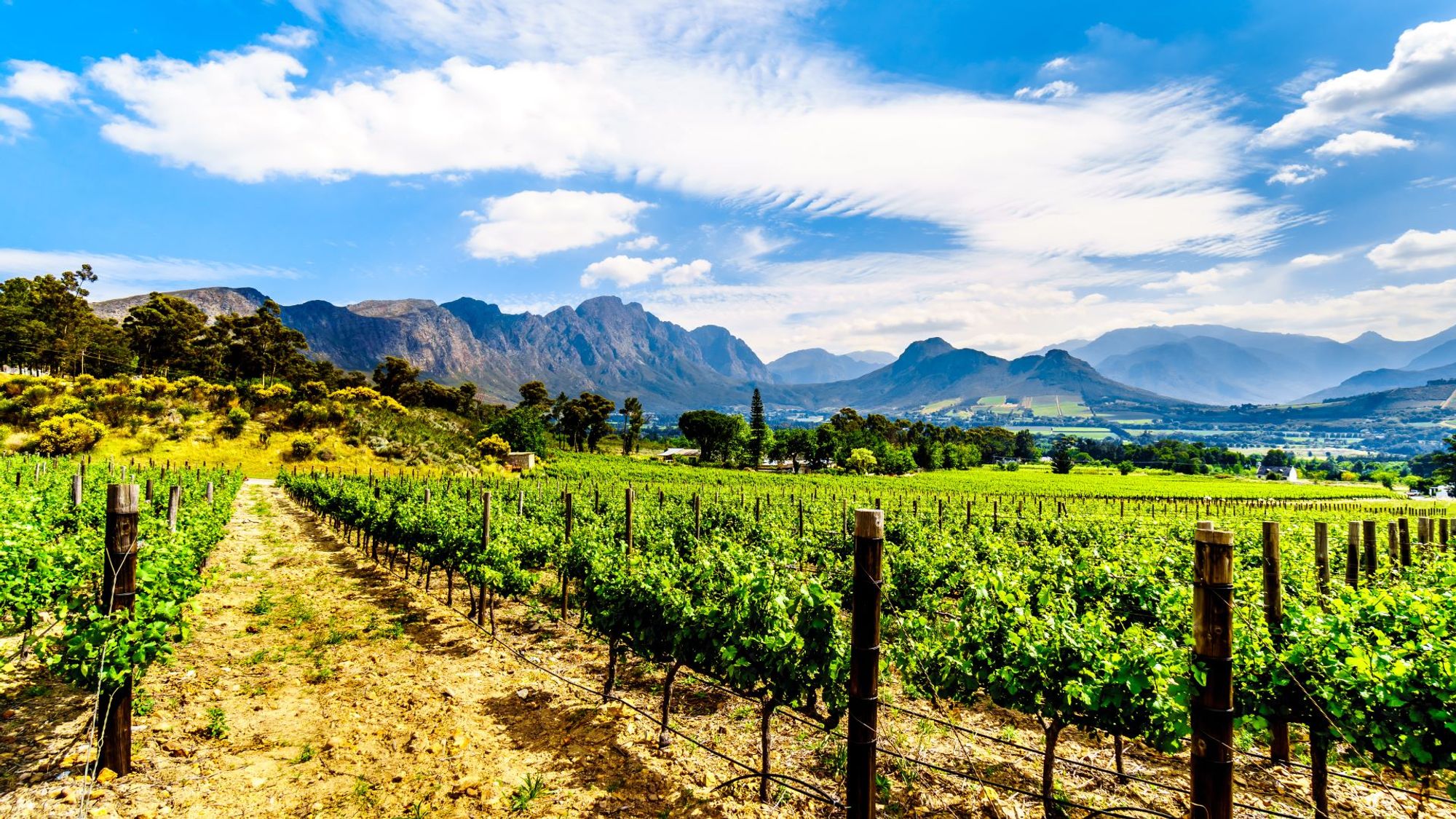 ฉากหลังที่มีเสน่ห์ของใจกลางเมือง Franschhoek