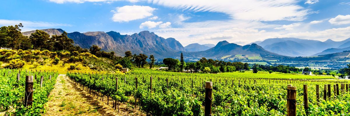A beautiful view from within central Franschhoek-mobile