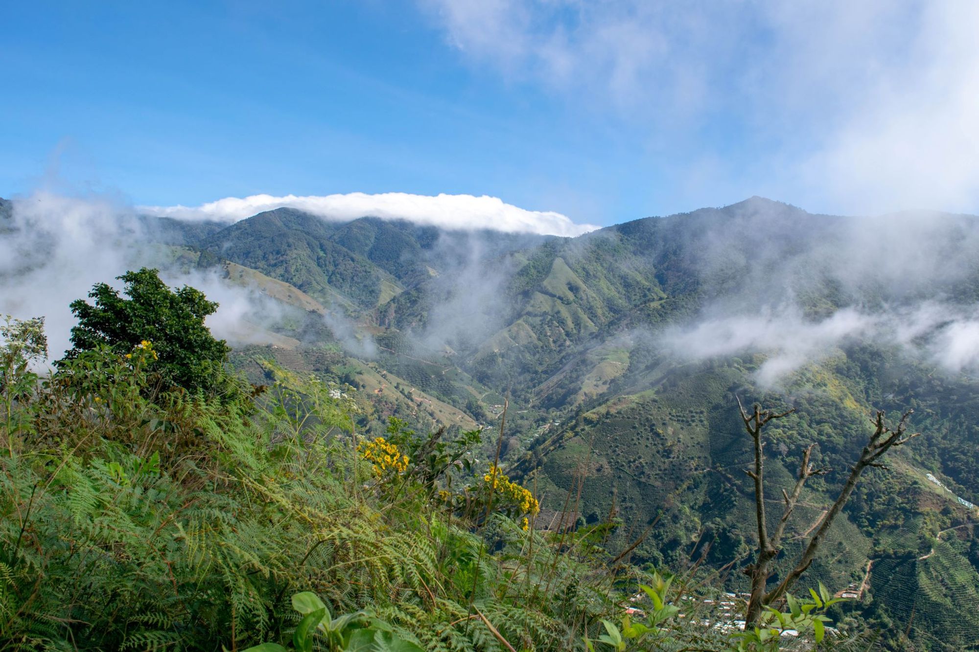 A captivating backdrop of central San Gerardo de Rivas