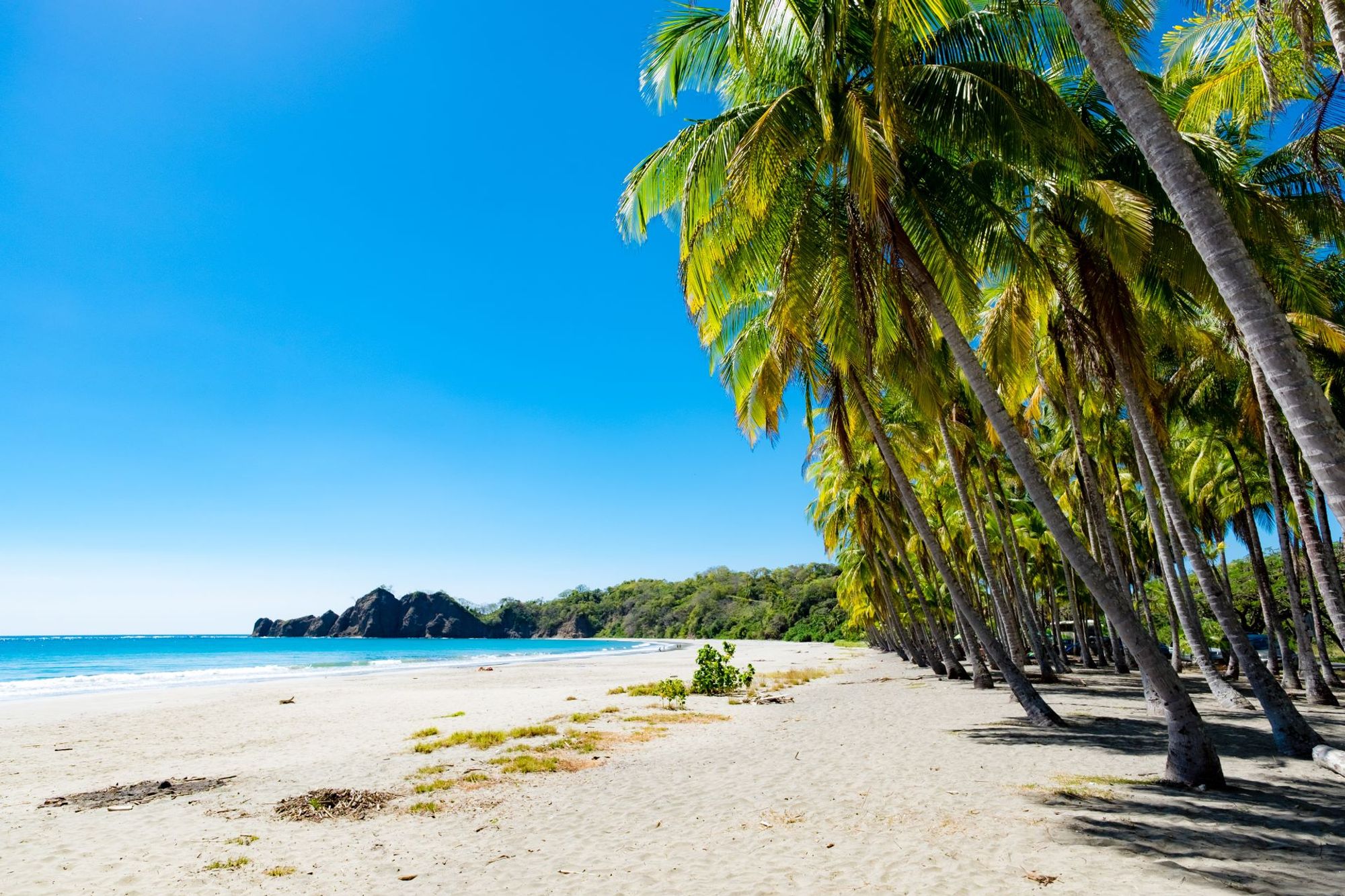 Un cautivador telón de fondo del centro Playa Carrillo