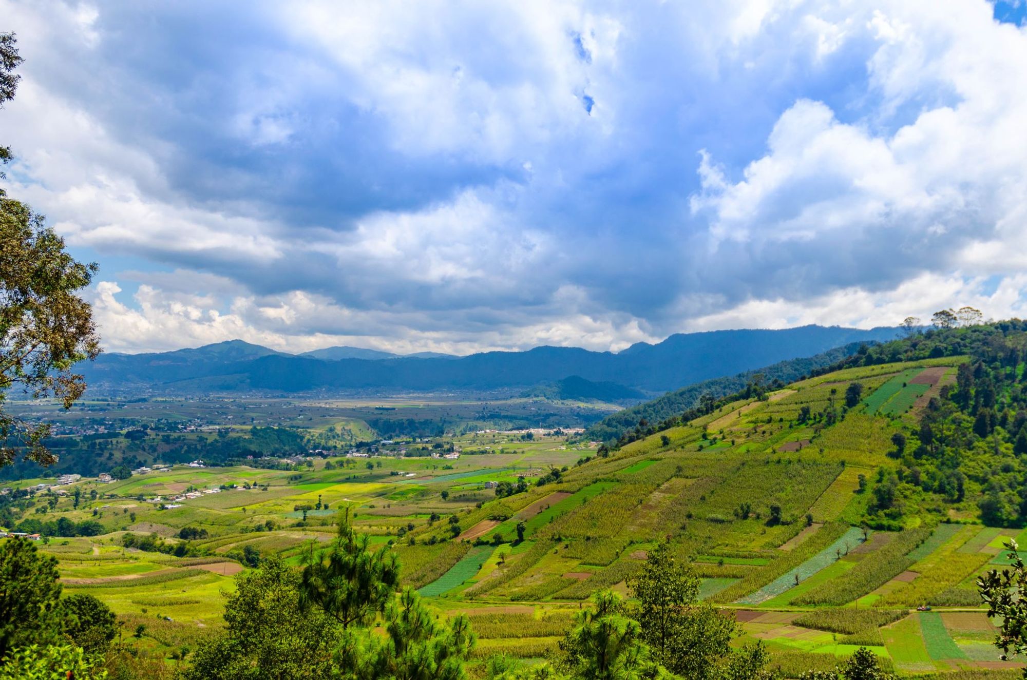 Một khung cảnh phía sau đầy lôi cuốn nhìn về khu trung tâm Quetzaltenango (Xela)