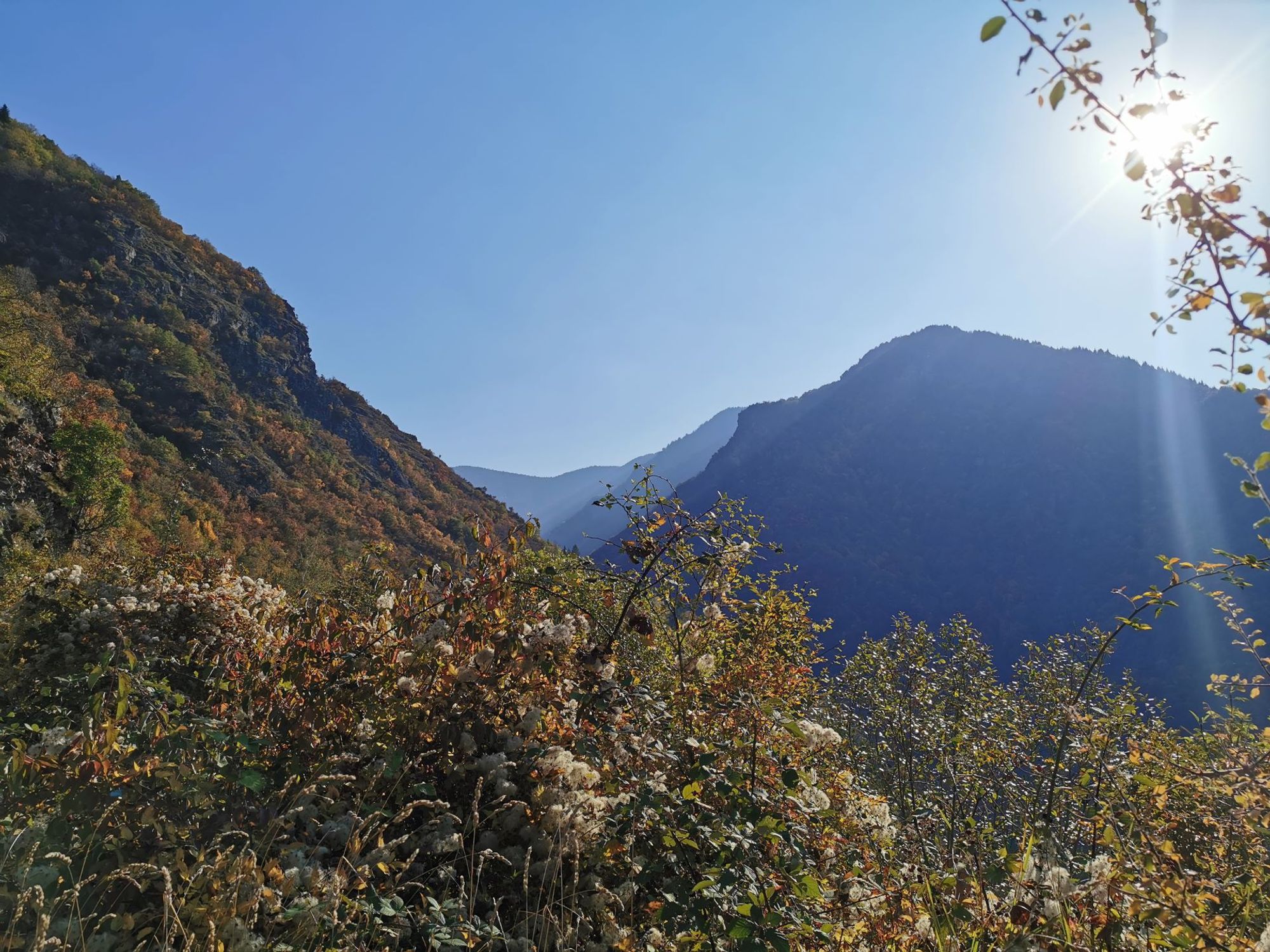 Shiroki dol - Any hotel станция в пределах Shiroki dol, Bulgaria