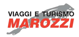 Marozzi logo