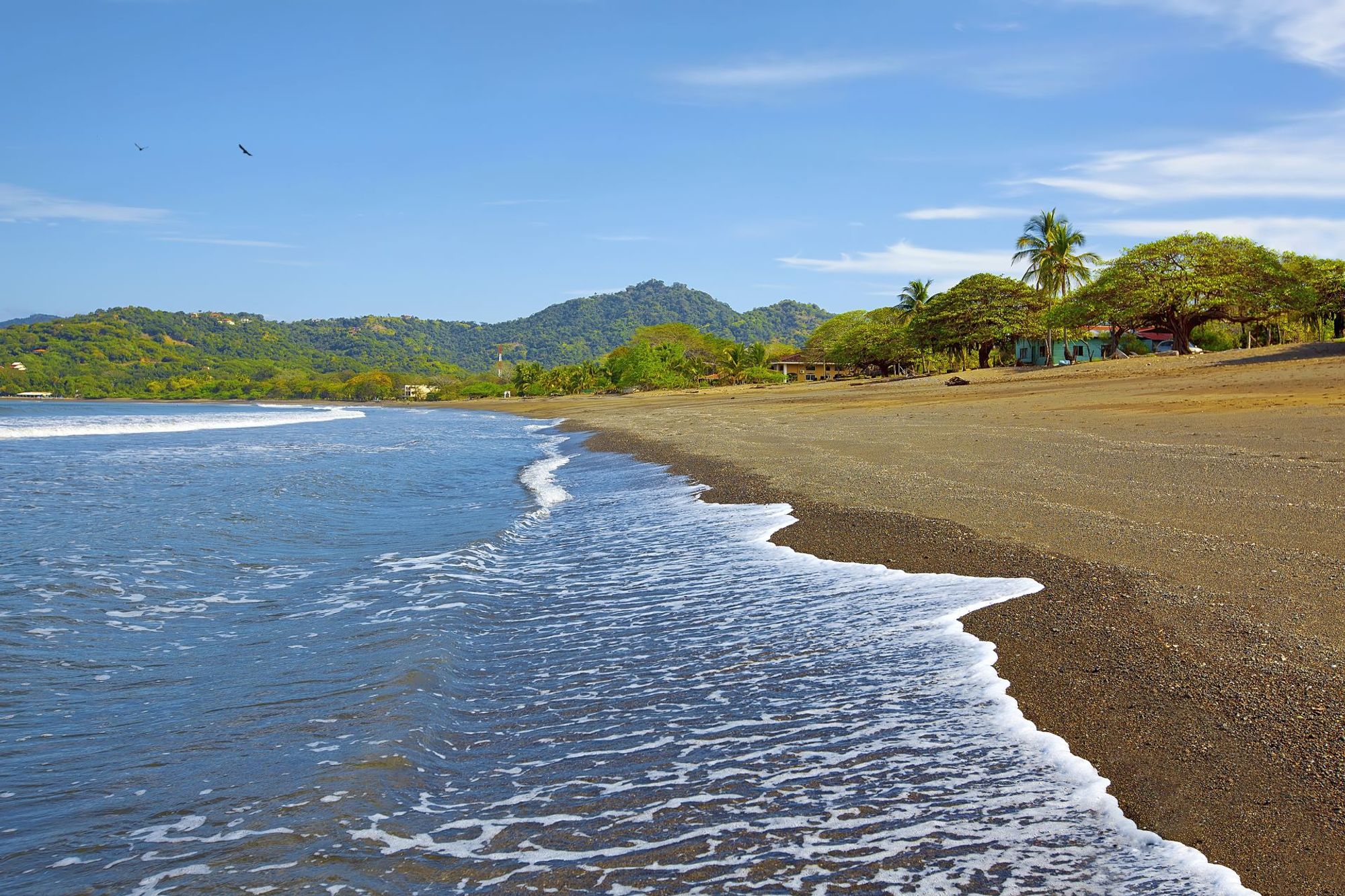 A captivating backdrop of central Playa Panama