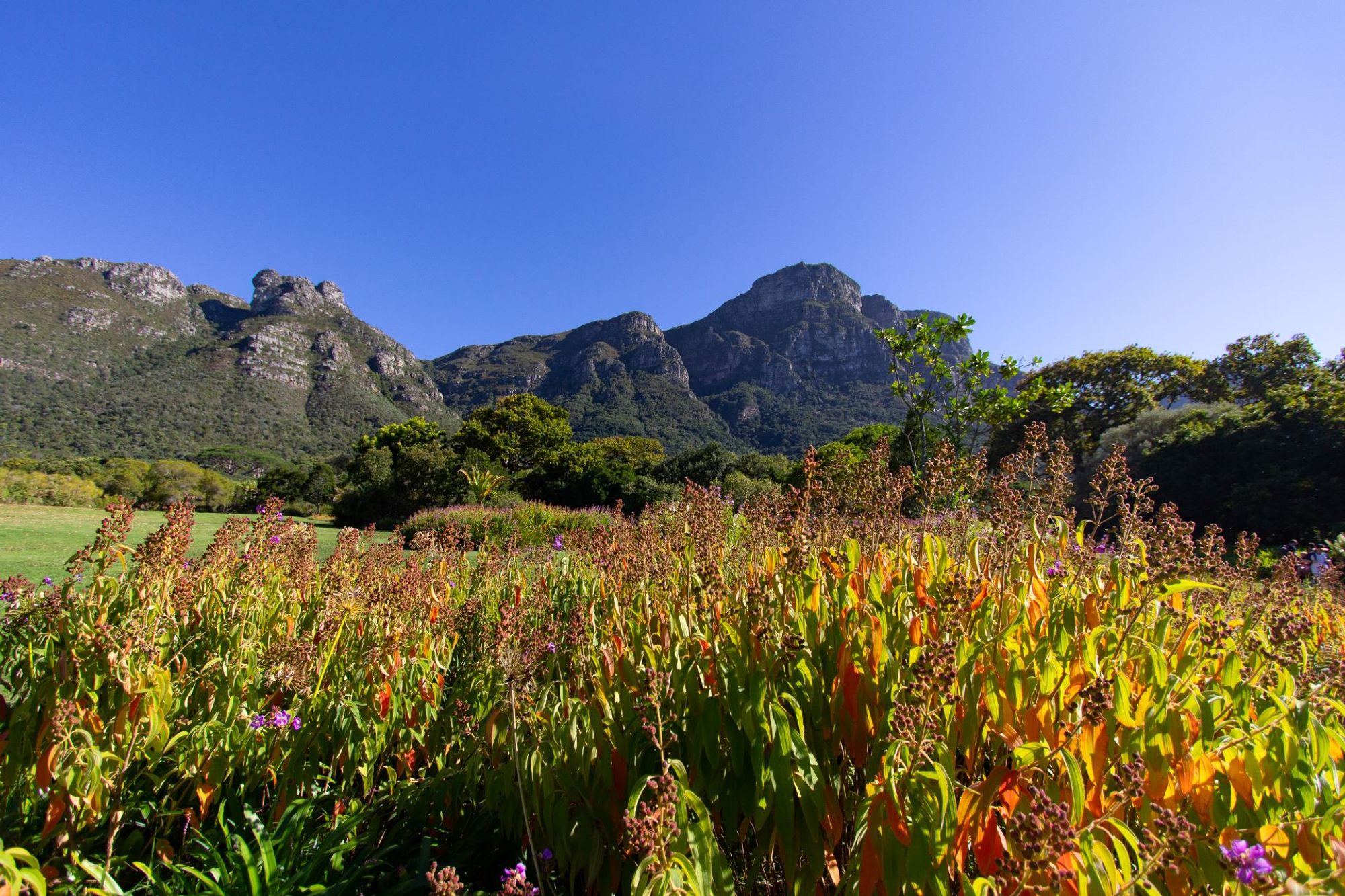 Grotto Bay - Any hotel station within Grotto Bay, South Africa