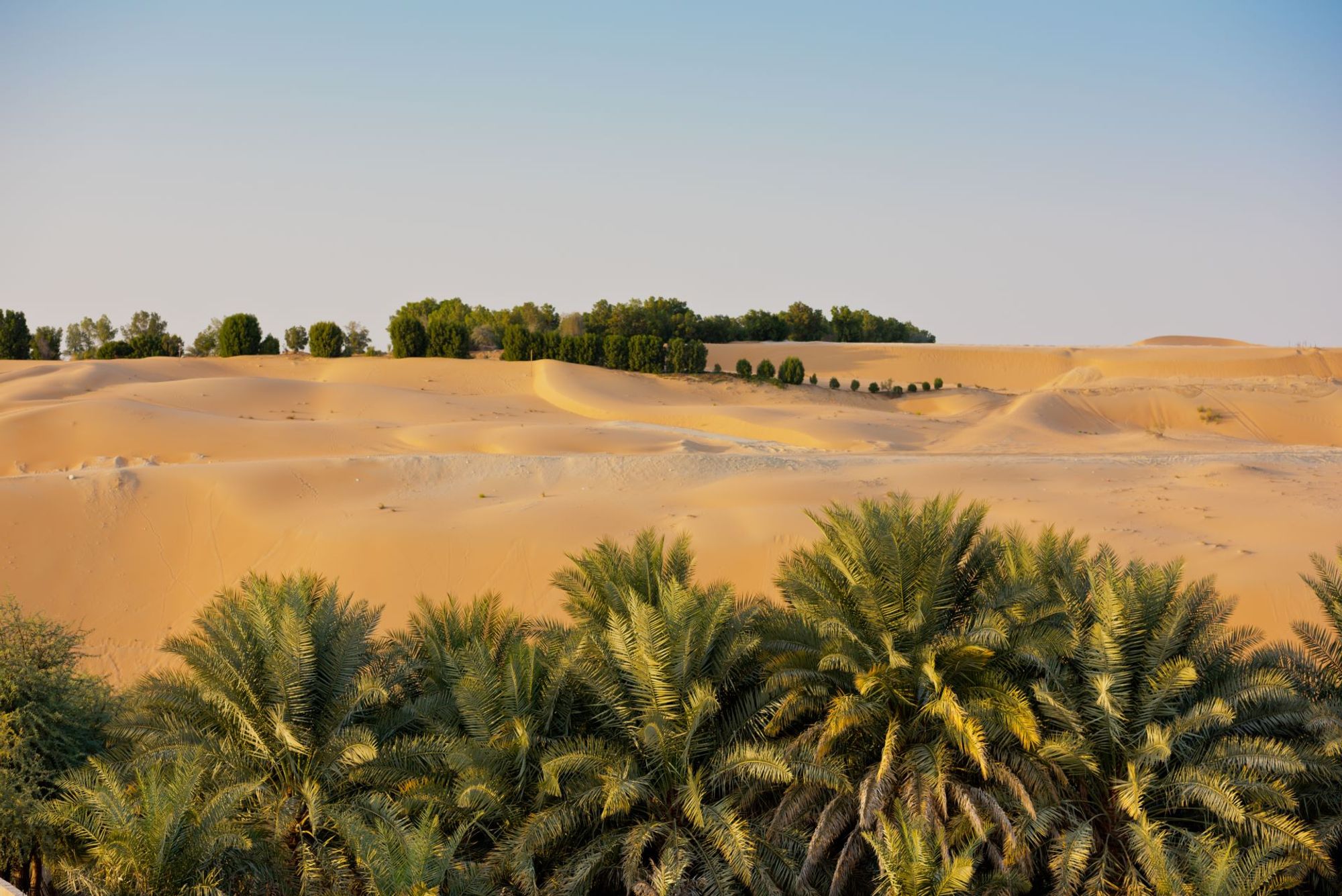 中心部の魅惑的な背景 Bateen Liwa