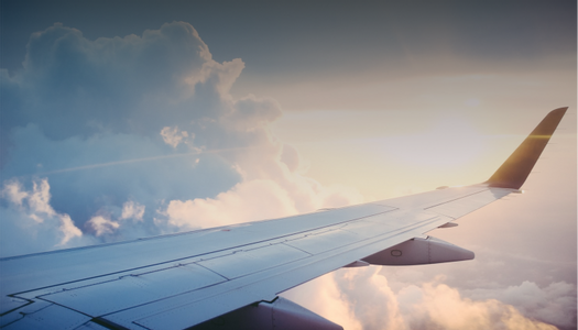 Economy flight 