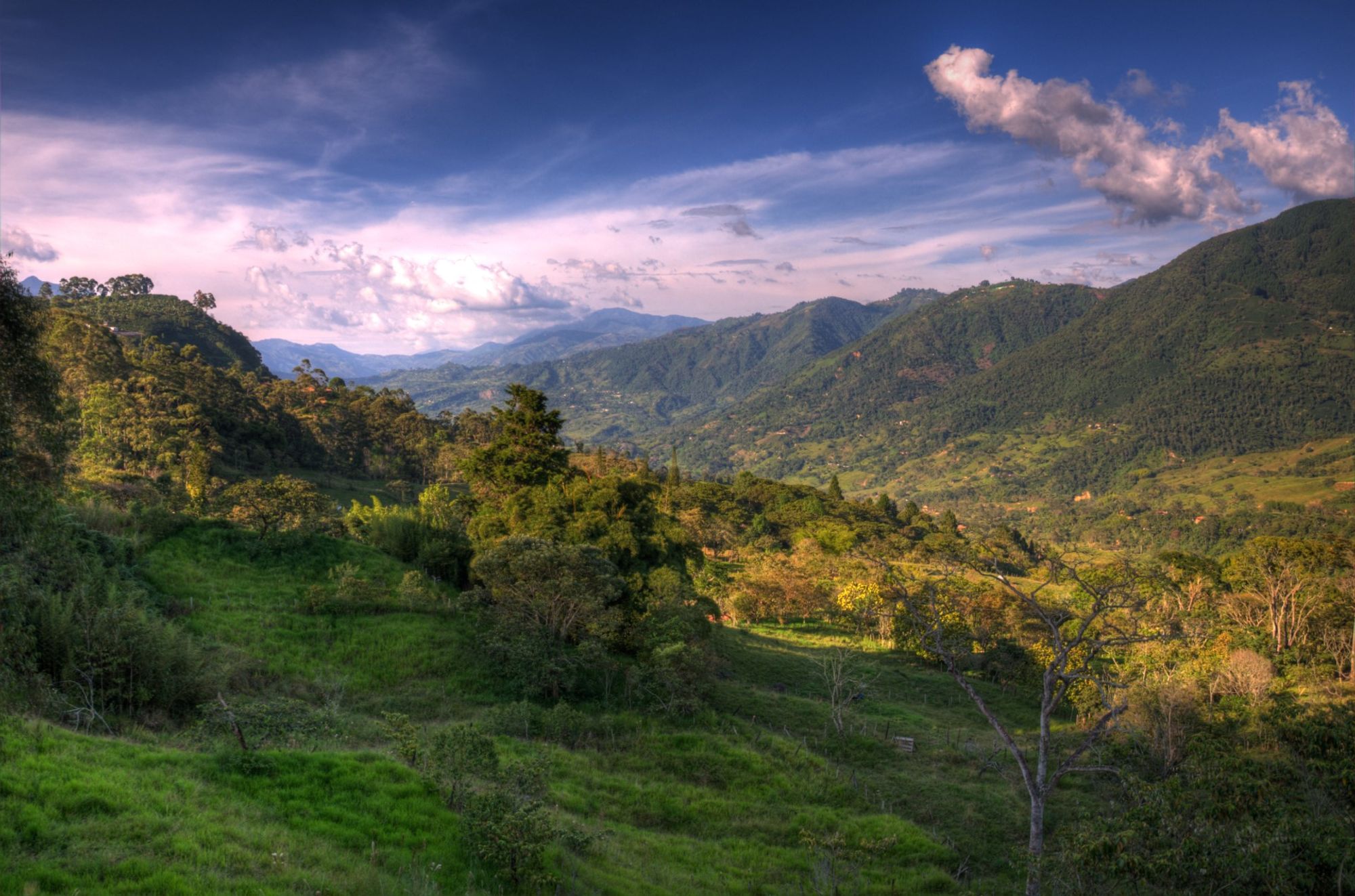 Carepa bus stop станция в пределах Carepa, Colombia