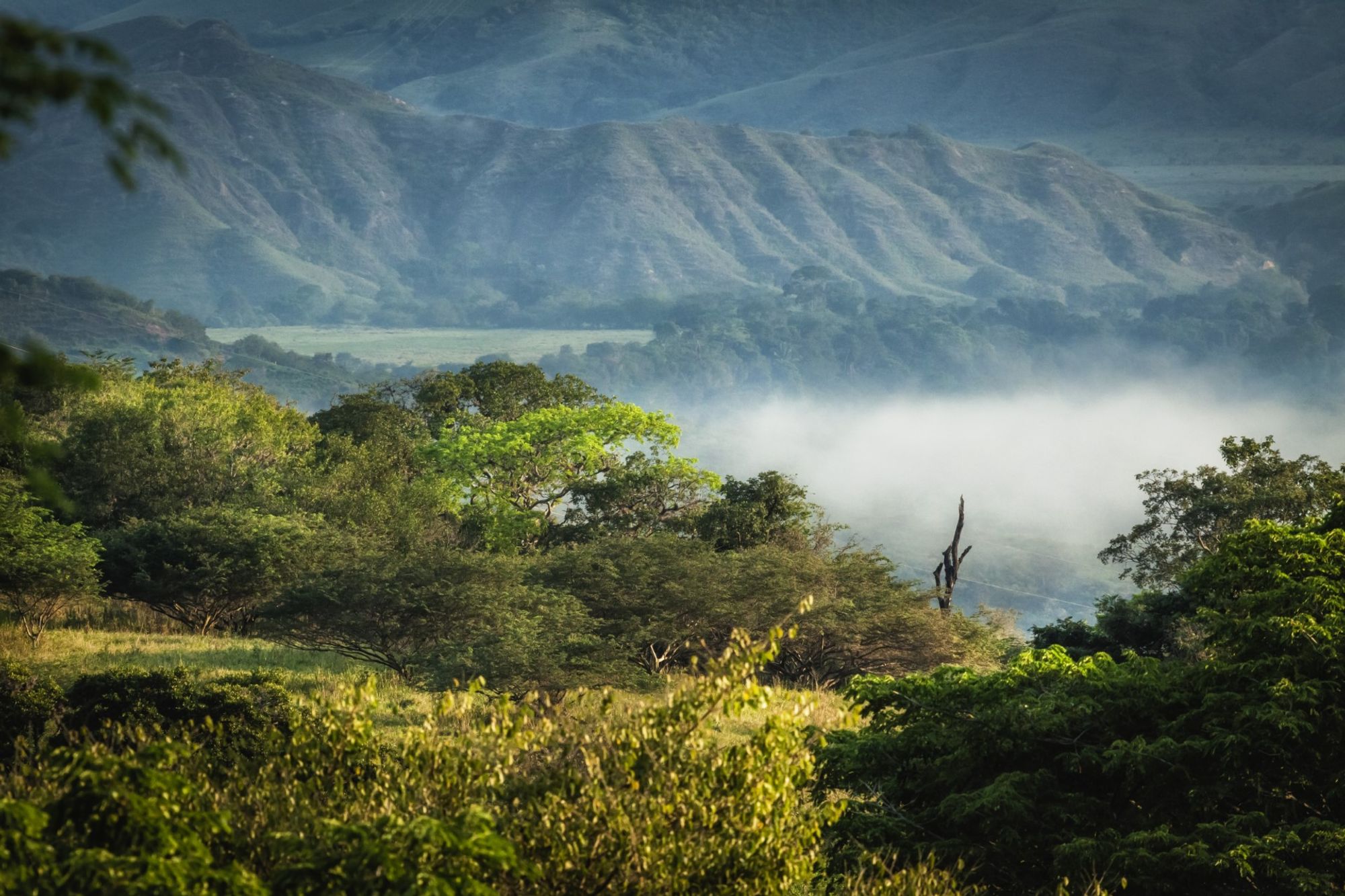 ALTAMIRA станция в пределах Altamira, Huila, Colombia