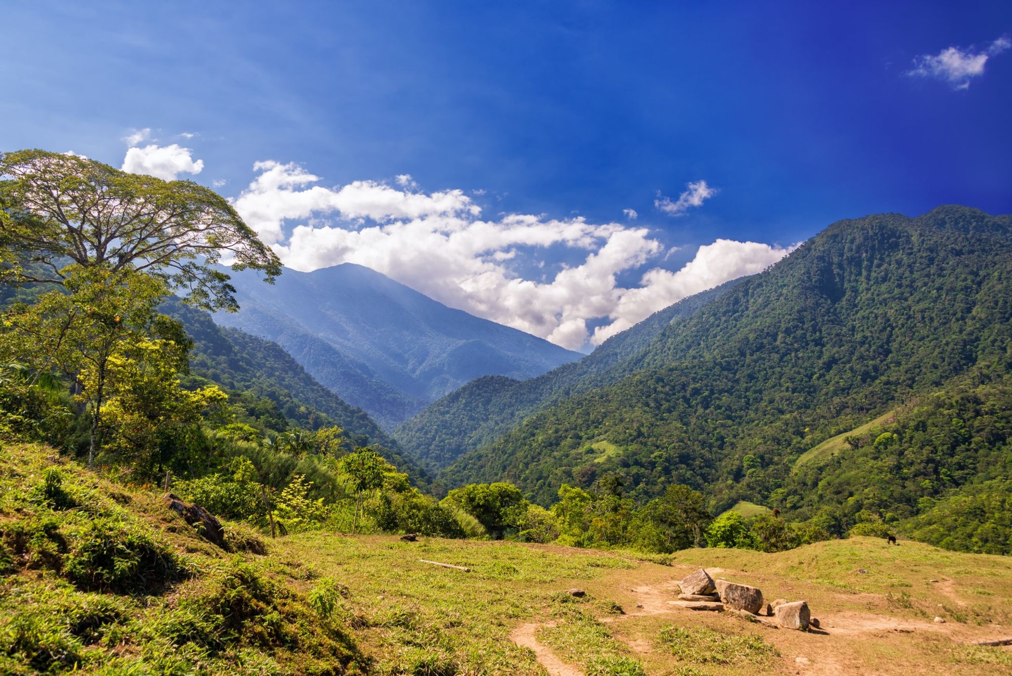 Copetran Plato станция в пределах Plato, Colombia