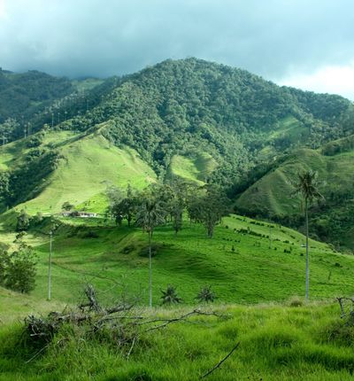 Rapido Ochoa Andes