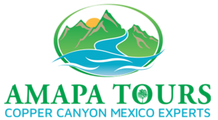 Amapa Tours logo