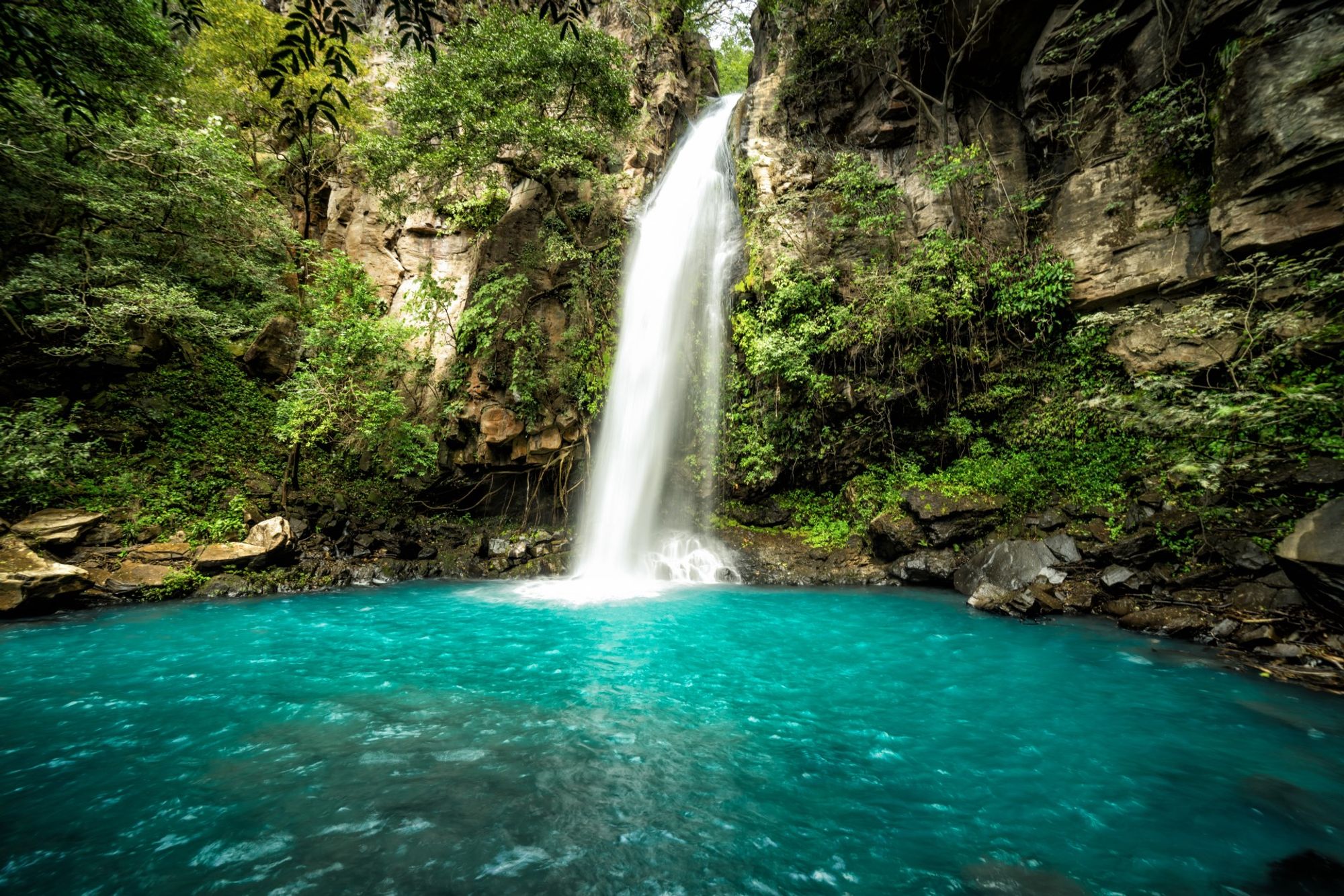 Завораживающий фон центральной станции Guanacaste Province