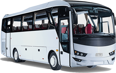 Standard Bus 