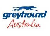 Greyhound Australia logo