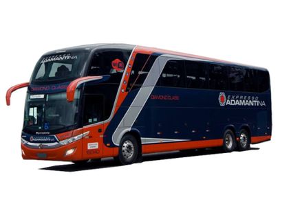 Economy bus 