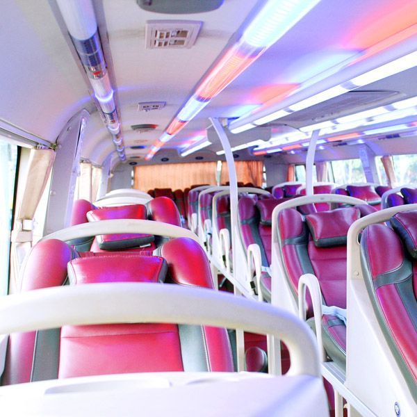 Sleeping Bus 
