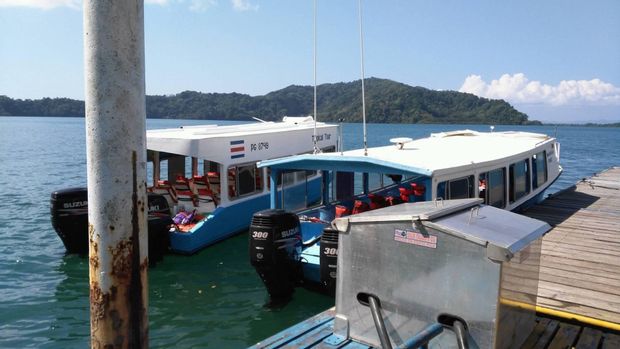 Transports pour aller de Puerto Jimenez à Golfito