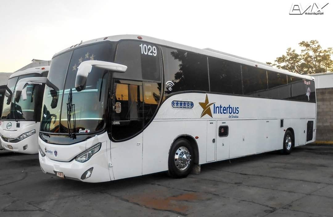Standard Bus 