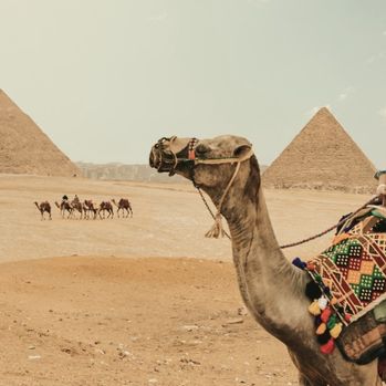 View of Il Cairo to Luxor