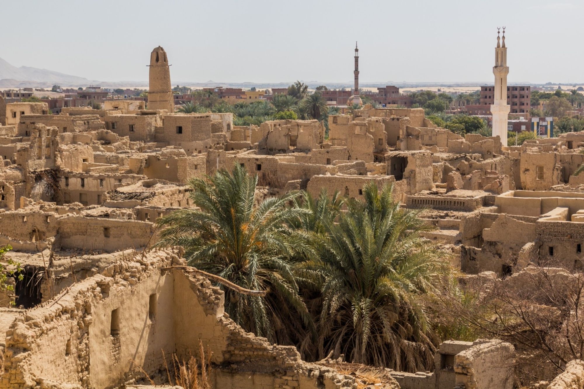 routes_hero-image-alt Dakhla Oasis