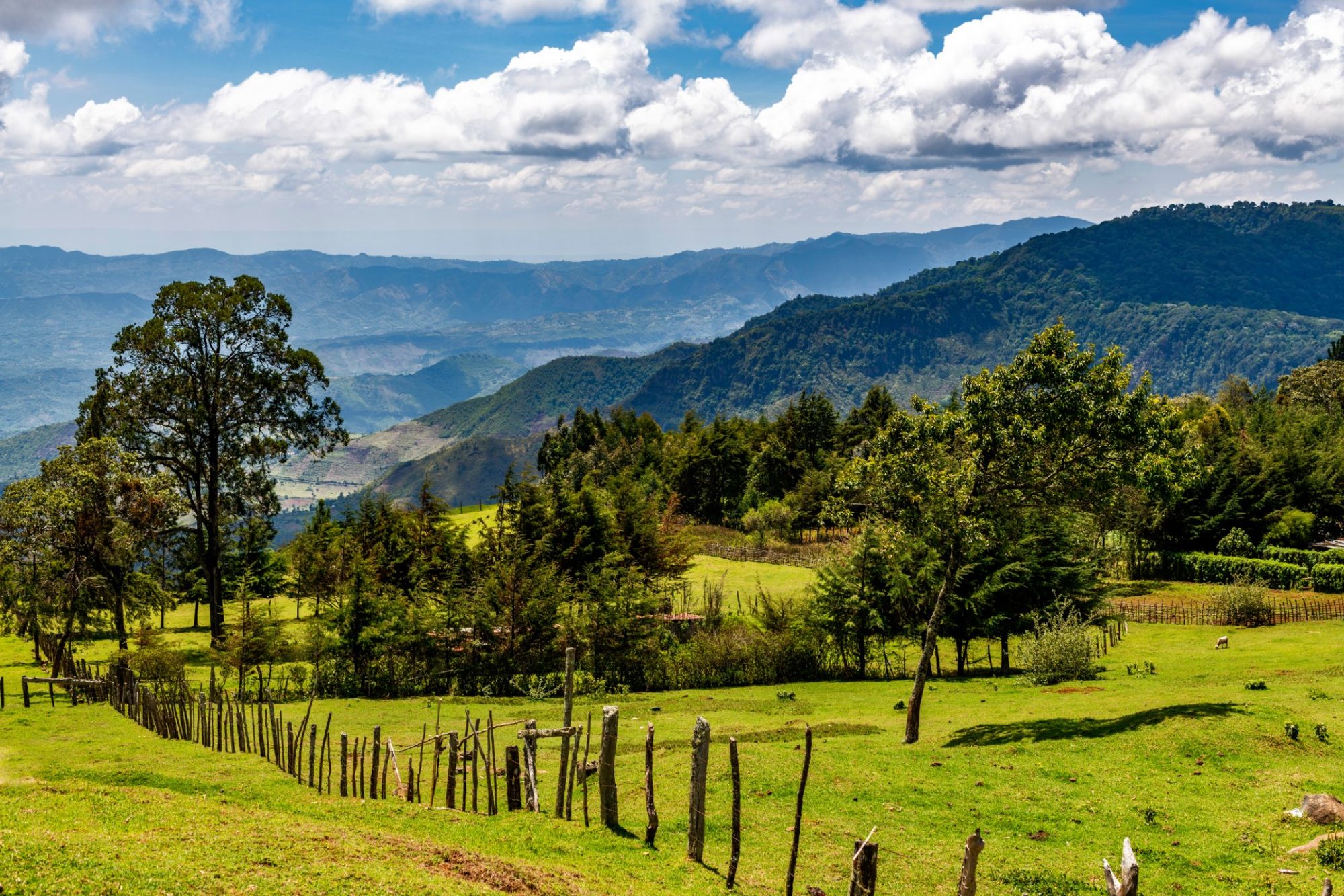 Um pano de fundo cativante do centro de Eldoret