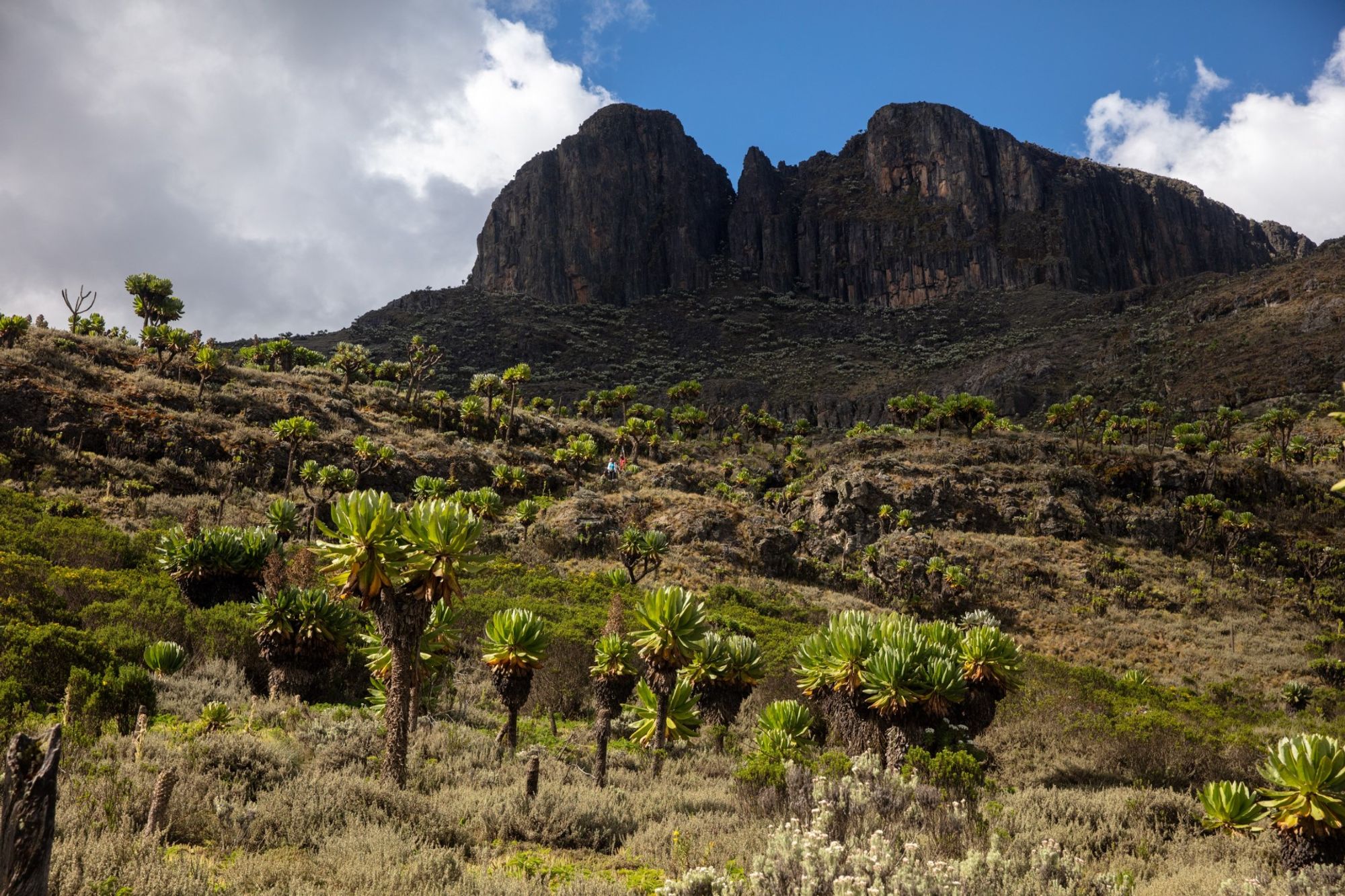 Um pano de fundo cativante do centro de Malaba