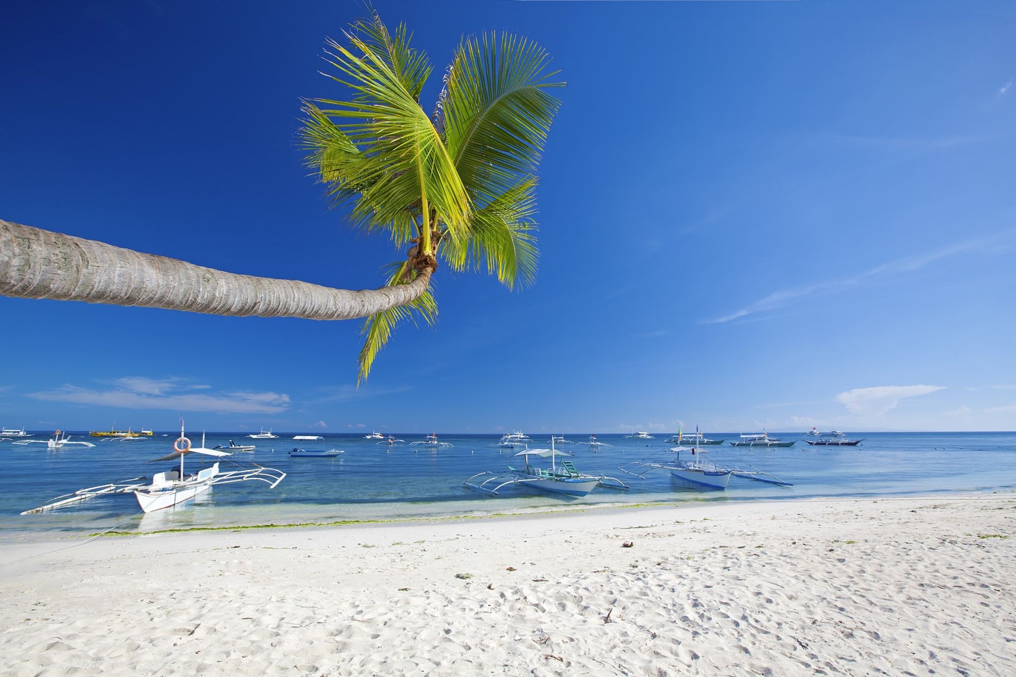 A captivating backdrop of central Panglao Island