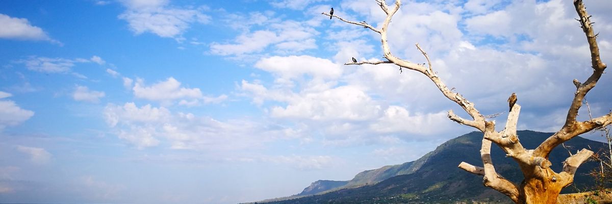 A beautiful view from within central Busia-mobile