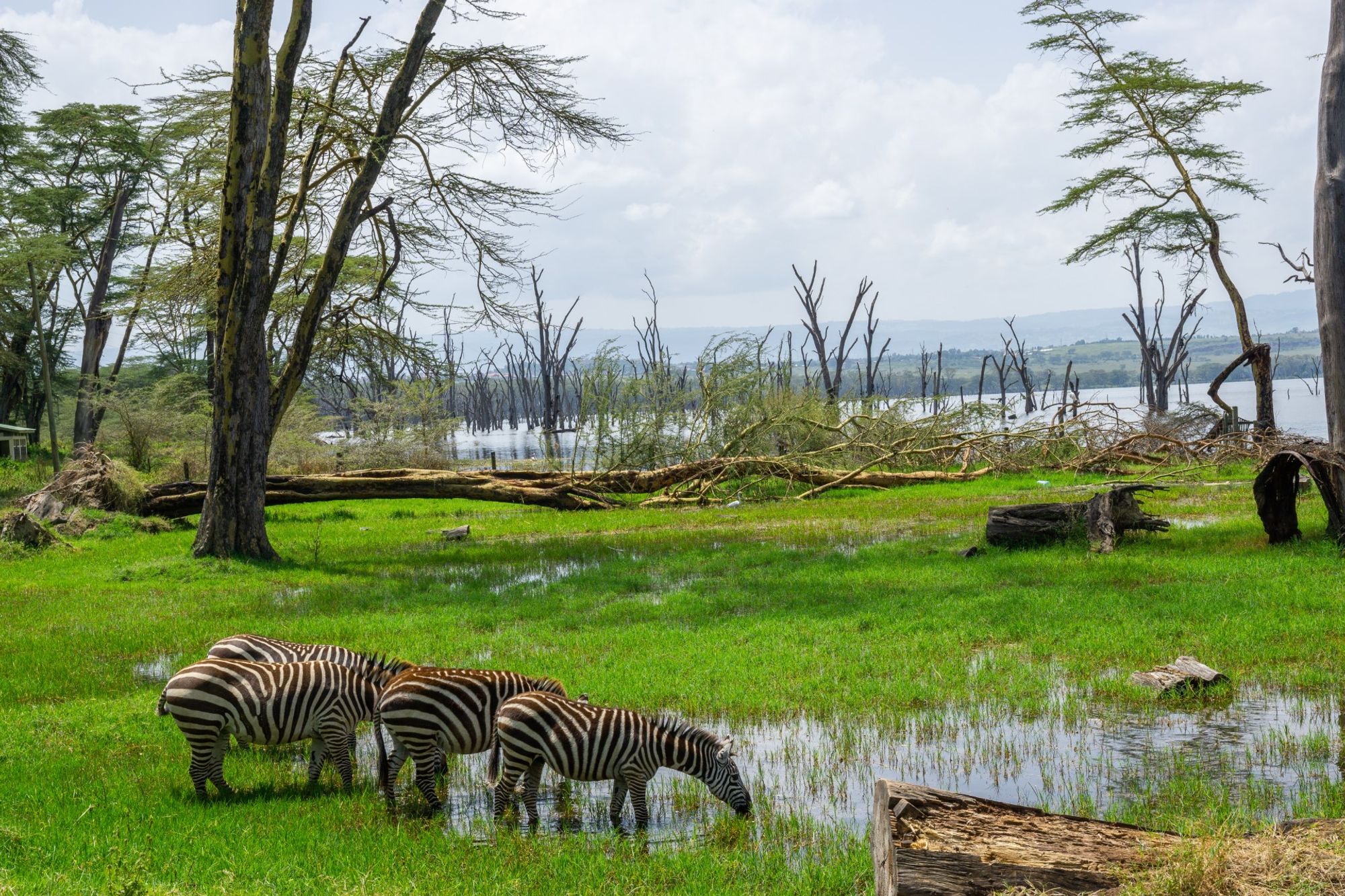 Easy Coach - Siaya станция в пределах Siaya, Kenya